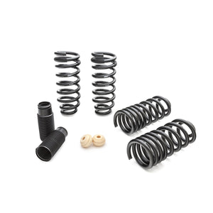 PRO-KIT Performance Springs (Set of 4 Springs)