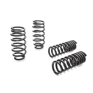 PRO-KIT Performance Springs (Set of 4 Springs)