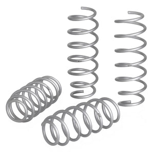 PRO-LIFT-KIT Springs (Front & Rear Springs)