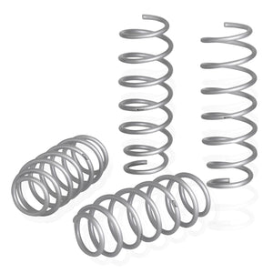 PRO-LIFT-KIT Springs (Front & Rear Springs)